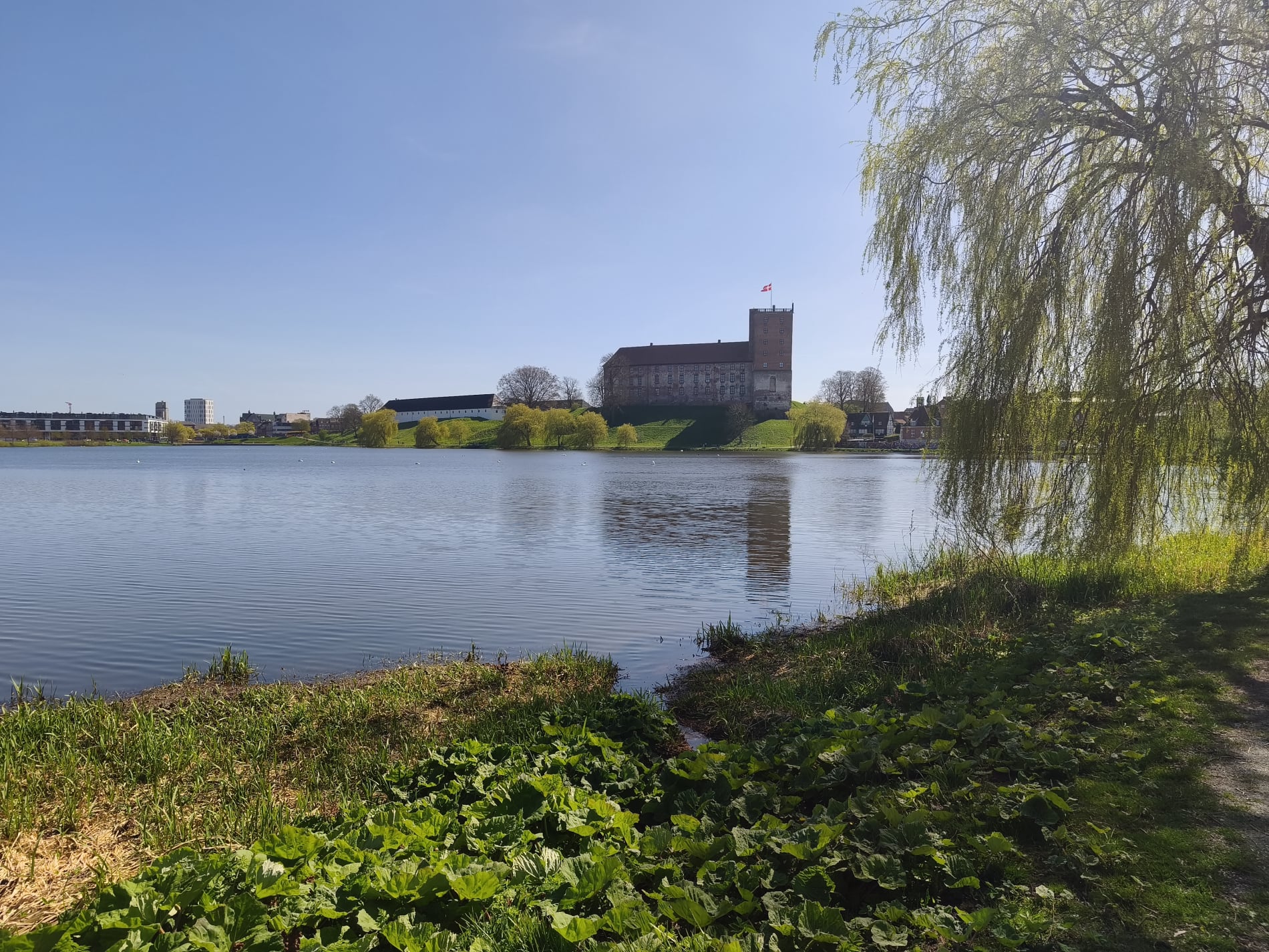 Slotssøen & Koldinghus - April 2026