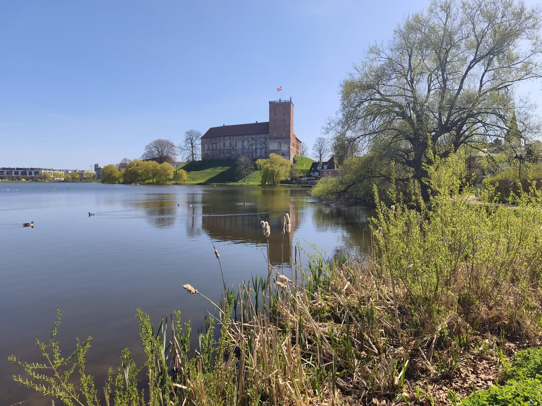 Koldinghus - April 2026